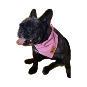 Bandana Elegance - Julie Puppy