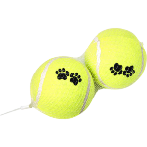 Brinquedo Bola Tênis 2 Unidades G