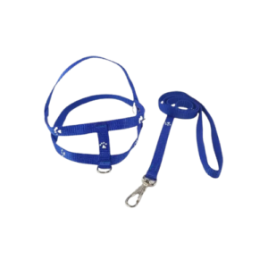 Peiteira + Guia Lisa Simples N1 Azul