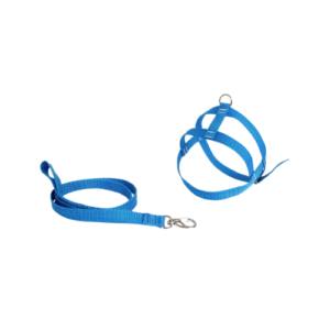 Peitoral + Guia Lisa Simples N4 Azul - Bbb Pet