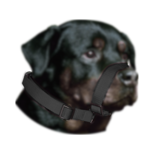 Focinheira Nylon Dupla Regulagem M - Tribus Pet