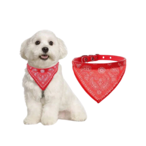 Bandana com Coleira Luxo - Julie Puppy