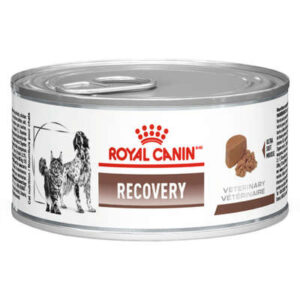 Ração Úmida Royal Canin Cão e Gato Recovery 195g