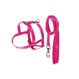 Peiteira + Guia Lisa Simples Rosa N3 - BBBPet