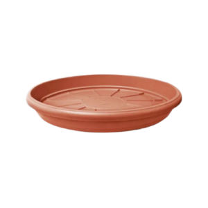 Prato Cerâmica 11 - Nutriplan