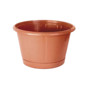 Cuia Nobre Cerâmica com Prato 01,5 - Nutriplan