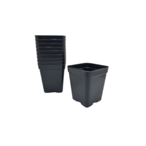 Kit Vaso Muda 10un