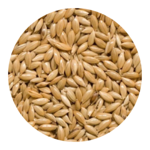 Alpiste 500g - Joli