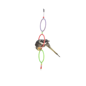 Brinquedo Argola Tripla para Pássaros - Acessórios Pet