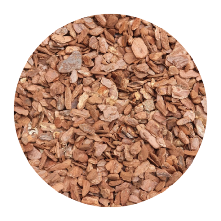 Casca de Pinus Pequeno 1kg - Seixos Pedra Nobre