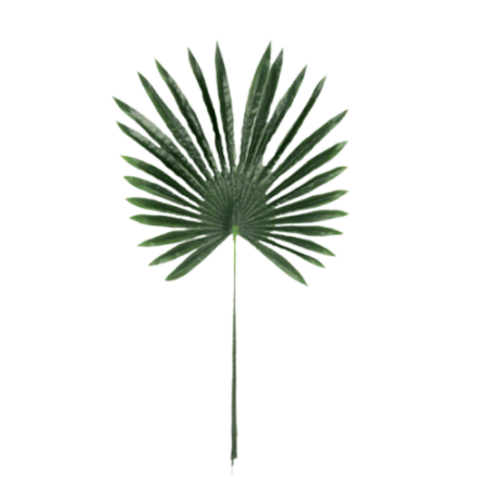 Flor Artificial Galho Folha Palmeira Verde Escuro