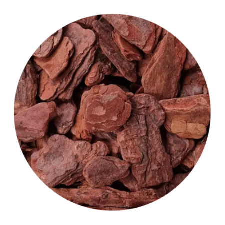 Casca de Pinus Grande 1kg - Seixos Pedra Nobre