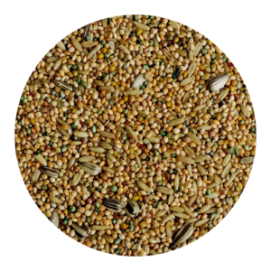 Mistura para Periquito Comum 10kg - Joli