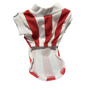 Roupa Pet Torcedor Colorado G