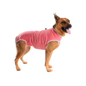 Roupa Cirúrgica DryFit Coral 00 - LaviPet