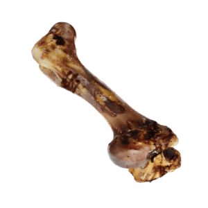 Osso Fêmur Bovino Defumado - Natural Bone